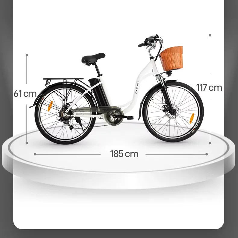 DYU C6: Spolehlivé a plně vybavené městské elektrokolo