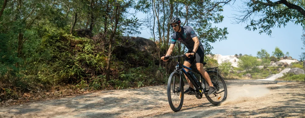 DUOTTS C29 Electric Bike