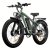 Fatbike Beach Cruiser F1 AWD
