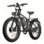 Fatbike Beach Cruiser S1