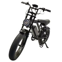 Fatbike Predator V20 Pro