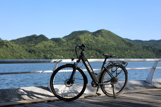 Stylové městské elektrokolo OneSport OT12