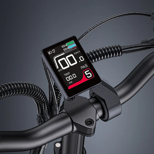 Nákladní elektrokolo ENGWE LE20