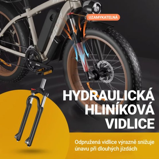 Fatbike Beach Cruiser F1