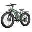 Fatbike Beach Cruiser F1