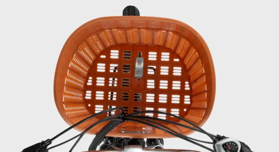 Stylové městské elektrokolo DYU C6