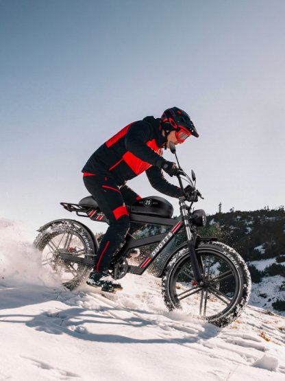 Elektrokolo fatbike DUOTTS F20