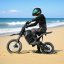 Fatbike Dirt H3