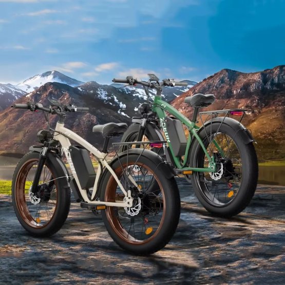 Fatbike Beach Cruiser F1