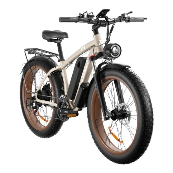Fatbike Beach Cruiser F1