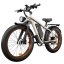 Fatbike Beach Cruiser F1