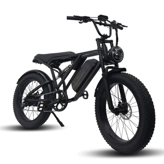 Fatbike Vintage Y-24