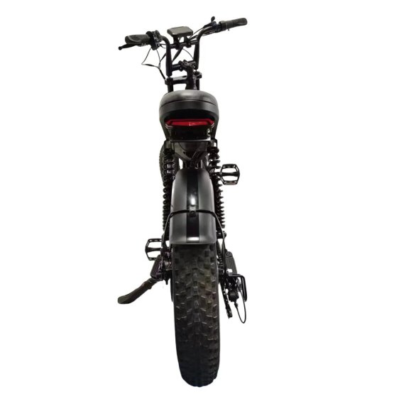 Fatbike Predator V20 Pro