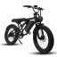 Fatbike Vintage Y-24