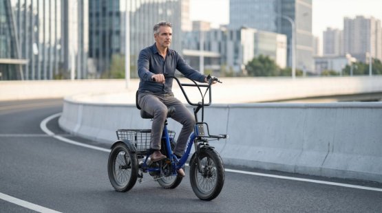 Elektrická nákladní tříkolka APEFOX RH30