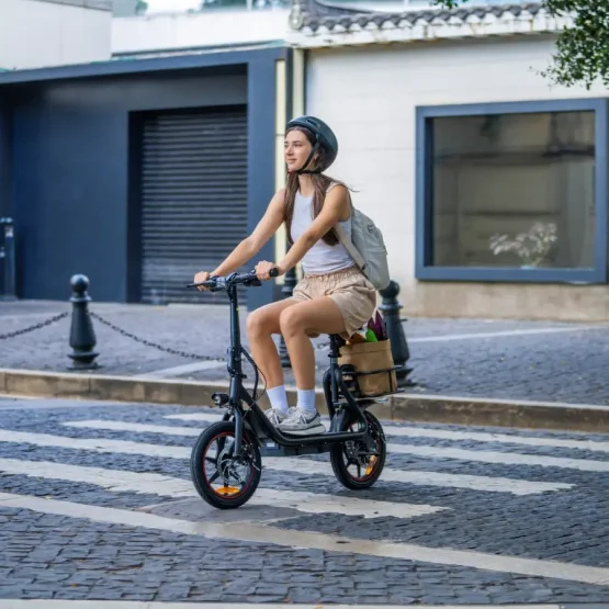 Skládací nákladní elektrokoloběžka DYU C4