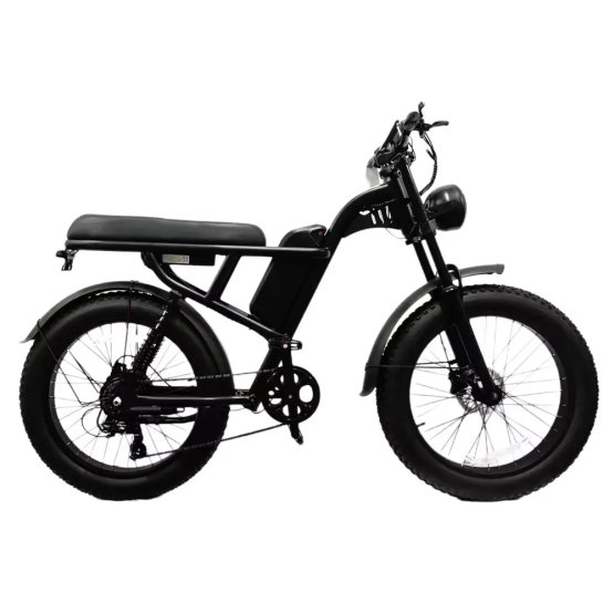 Fatbike Ranger Z8 Pro