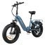 Robustní elektrokolo DYU FF500