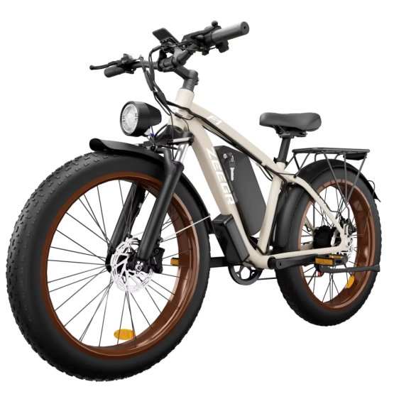 Fatbike Beach Cruiser F1