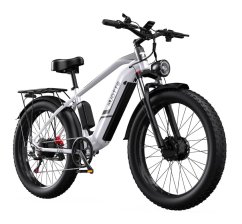 Elektrické kolo se dvěma motory DUOTTS F26