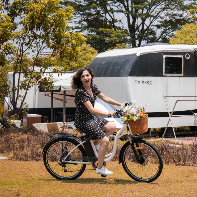 Stylové městské elektrokolo DYU C6