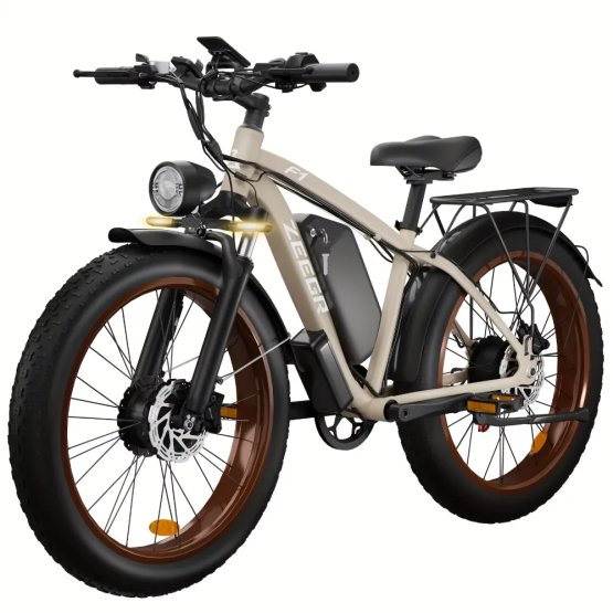Fatbike Beach Cruiser F1 AWD