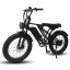 Fatbike Vintage Y-24