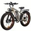 Fatbike Beach Cruiser F1 AWD