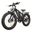 Fatbike Beach Cruiser F1 AWD