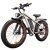 Fatbike Beach Cruiser F1
