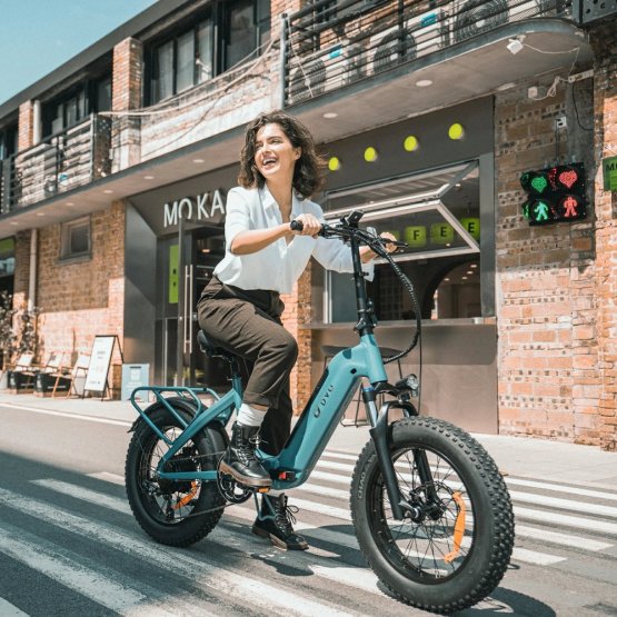 Robustní elektrokolo DYU FF500