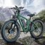 Fatbike Beach Cruiser S1