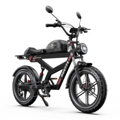 Elektrokolo fatbike DUOTTS F20