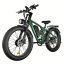 Fatbike Beach Cruiser S1