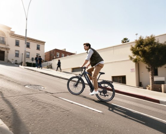 Horské elektrokolo DUOTTS C29 Max