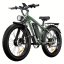 Fatbike Beach Cruiser F1 AWD