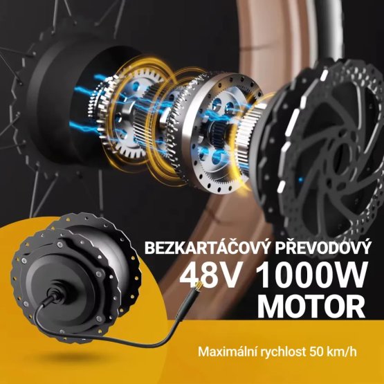 Fatbike Beach Cruiser F1