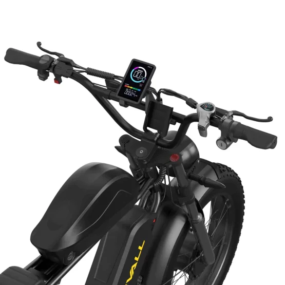 Fatbike Bluvall K10