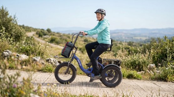 Elektrická nákladní tříkolka APEFOX RH30