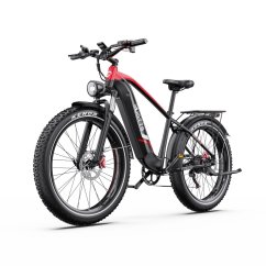 Výkonný elektrická fatbike DUOTTS F26 Lite