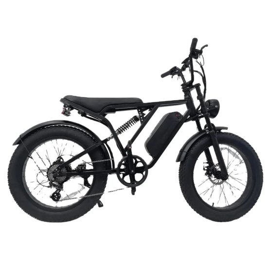 Fatbike Vintage Y-24