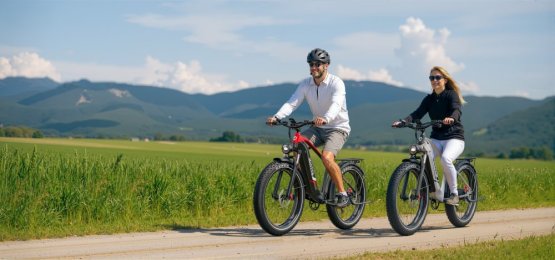 Výkonný elektrická fatbike DUOTTS F26 Lite