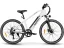 Městské elektrokolo SAMEBIKE RS-A01 Men