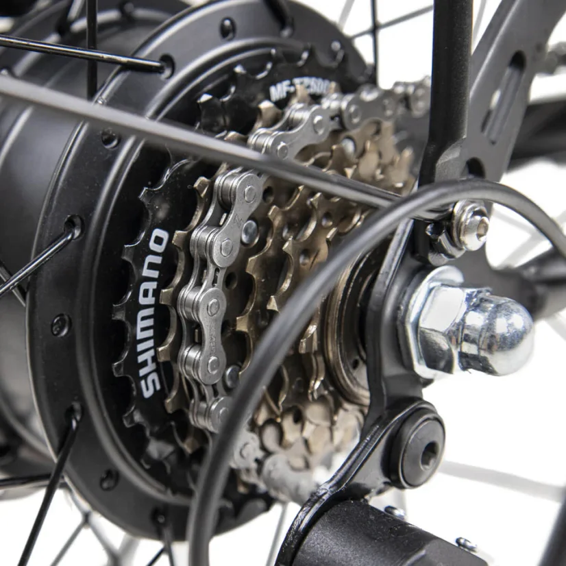 Stylové městské elektrokolo DYU C6