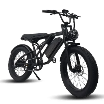 Elektrokola fatbike 24" - objevte neomezené možnosti jízdy