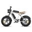 Moto elektrokolo ENGWE M20 Dual