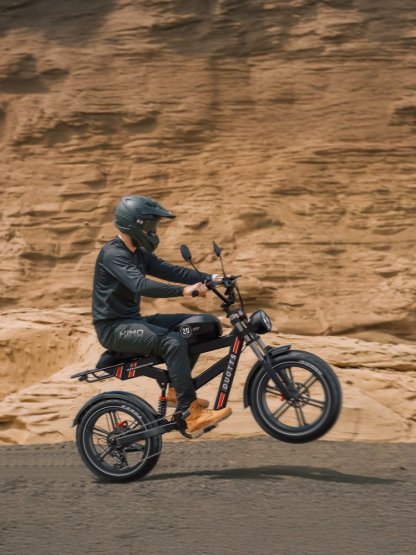 Elektrokolo fatbike DUOTTS F20