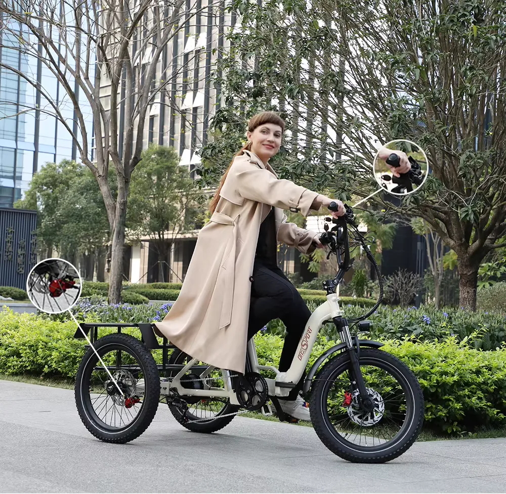 Nákladní elektrická tříkolka OT30 Pro