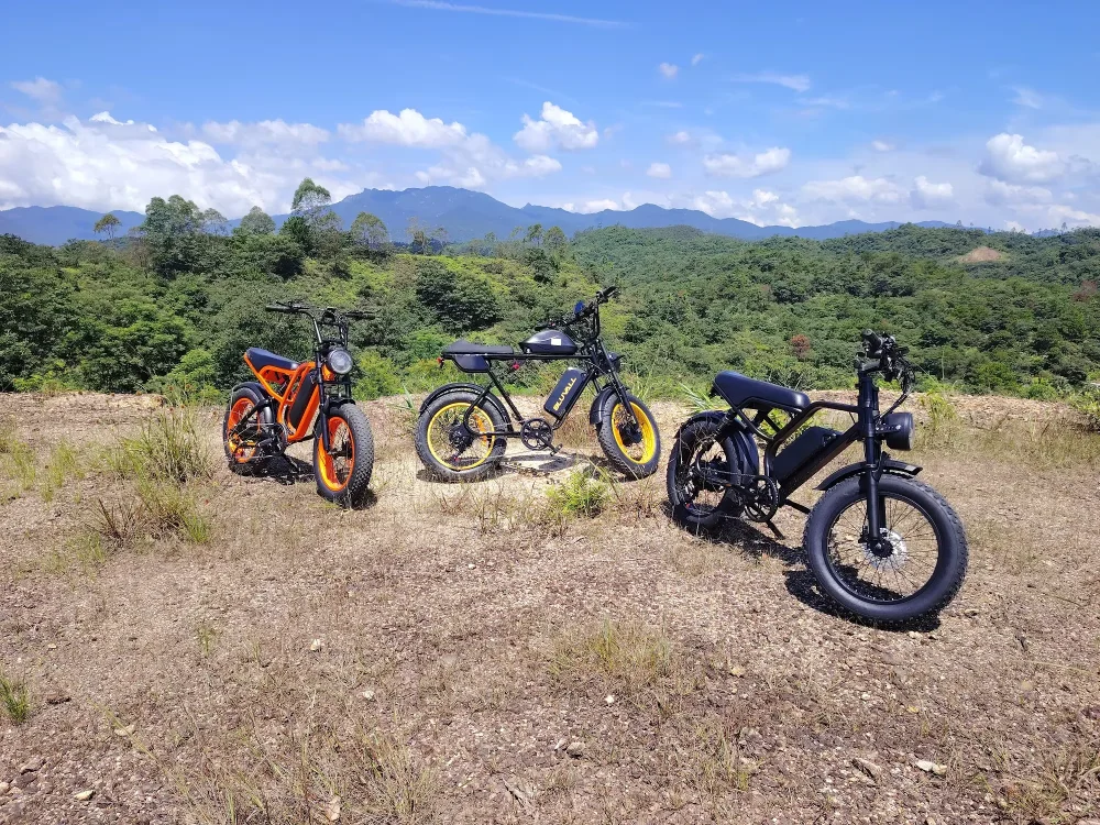 Mopedové elektrokolo Bluvall SU8 1500W