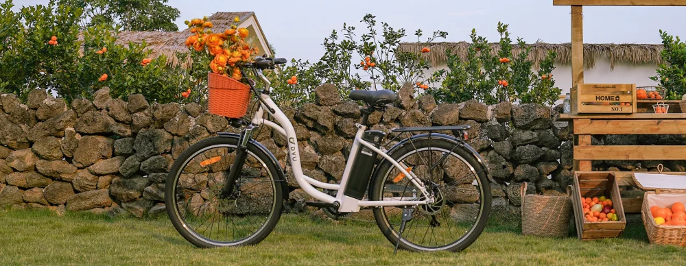 DYU C6: Spolehlivé a plně vybavené městské elektrokolo